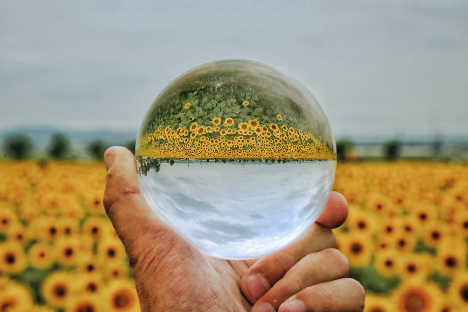 Obon (お盆): The Meaning and Traditions of Japan’s Festival of Ancestors